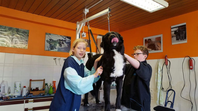 Hundesalon Conny Heise, Northeim